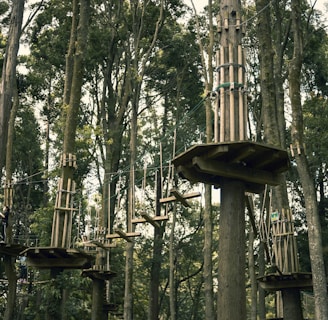 Wooden platforms are elevated and secured among tall trees in a dense forest. The platforms are interconnected with various suspended bridges and rope pathways high above the forest floor. Some of the pathways consist of planks and ropes that challenge balance and agility.
